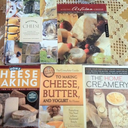 Livros sobre como fabricar queijos, iogurtes e outros derivados de leite
